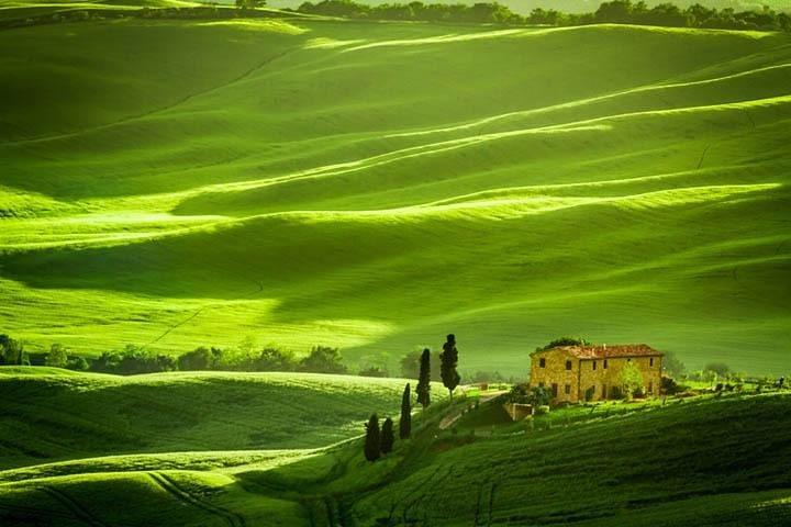 Privat: Toscana dagstur från Rom med valfri vinprovning