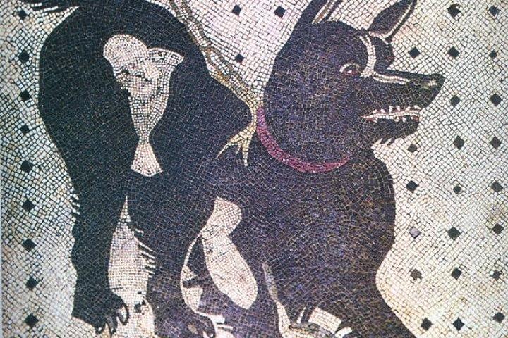 本物の考古学者とのポンペイガイド付き2時間ツアー-SKIP THE LINE
