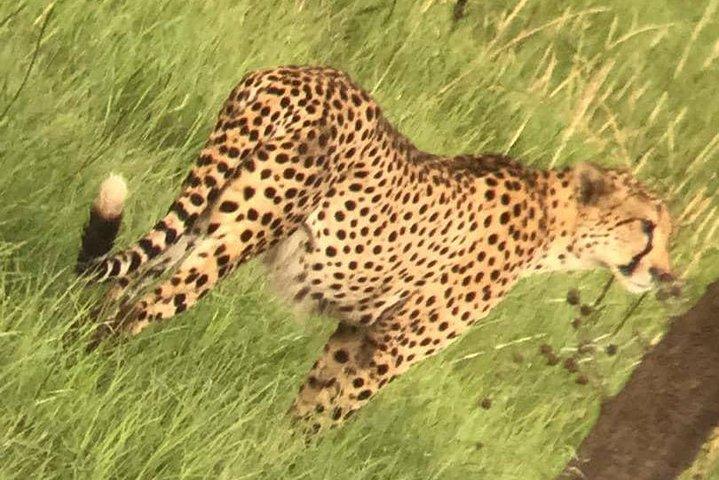 Safari di 3 giorni a Murchison Falls