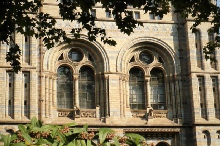 ロンドン自然史博物館の子供と家族向けプライベートツアー