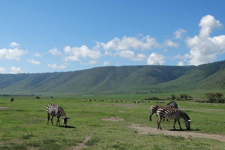 2 Days Safari to Tarangire NP & Ngorongoro Crater from Arusha