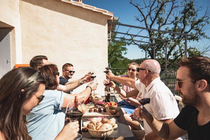 Saint-Emilion elcykeldagstur med vinprovningar och lunch