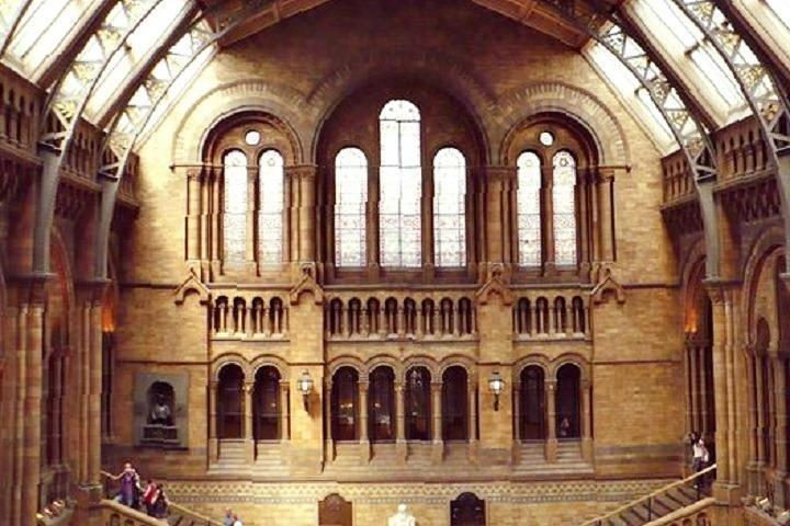 ロンドン自然史博物館の子供と家族向けプライベートツアー