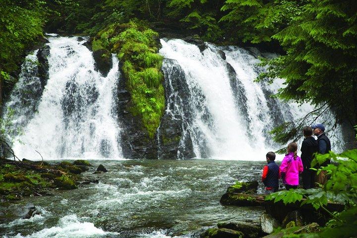 Historisch Gold Panning Adventure & Salmon Bake