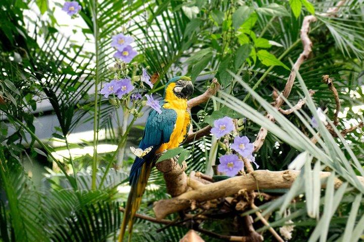 Biglietto per Victoria Butterfly Gardens