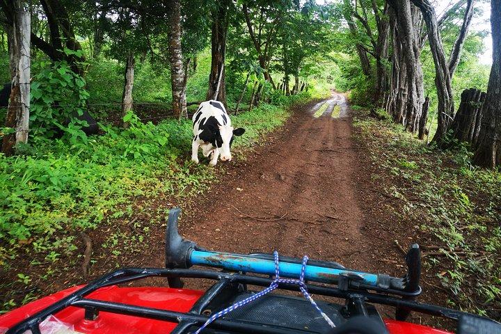 Avventura ATV da Riu, Secrets e papagayo