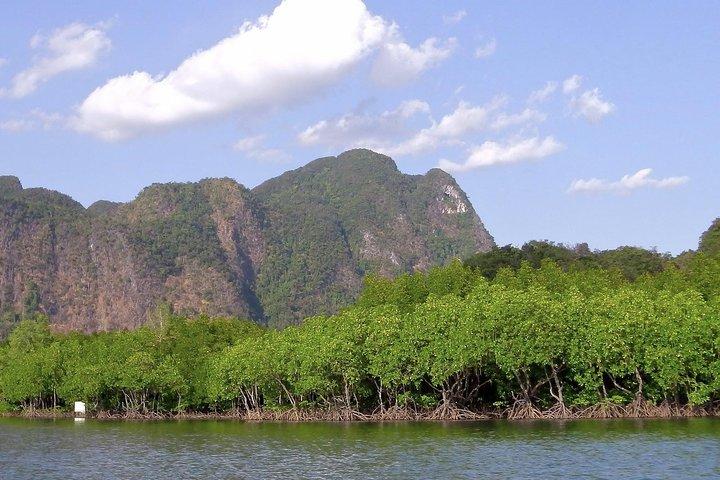 クラビからのアオタラン湾での半日シーカヤックアドベンチャー