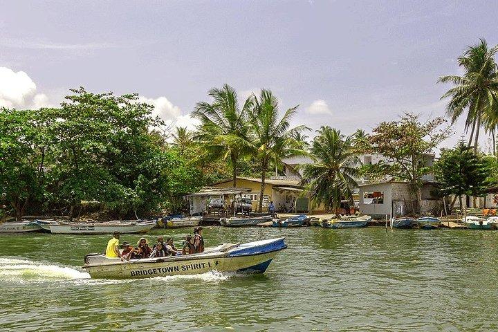 Viagem de um dia particular ao Forte Galle saindo de Colombo (Aeroporto Bandaranaike)