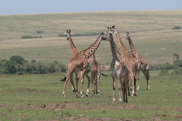 Sosta di Nairobi