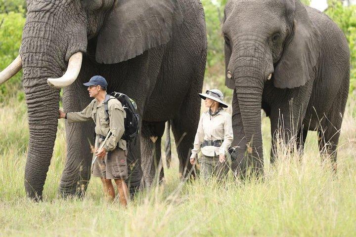 3 giorni Samburu Big Five