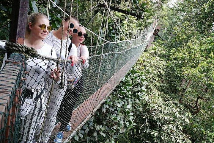 4D 3N Tour Kuala Lumpur - Camerons-Taman Negara - Kuala Lumpur。