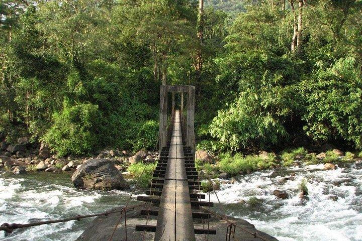 1 Day Activity Adventure Trekking Kerala