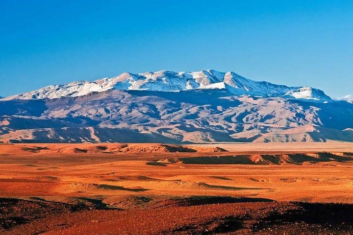 Dinner in Agafay Desert with Camel Ride or Quad Bike