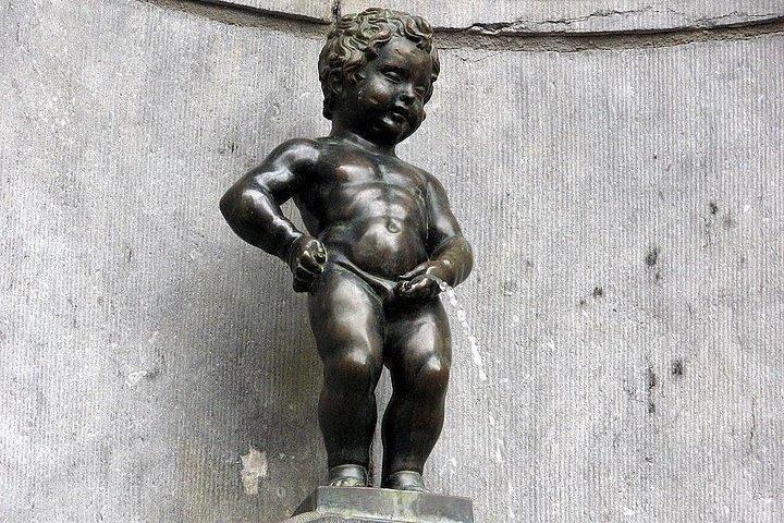 Tour privato: mezza giornata a Bruxelles