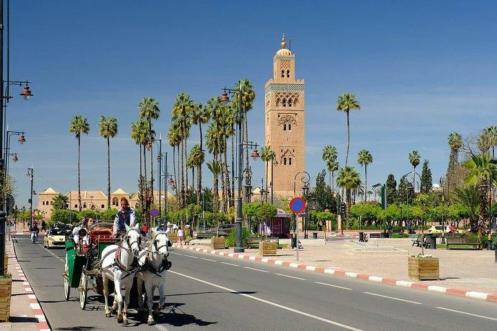 Marrakech halvdags kulturel vandretur (ingen shopping)