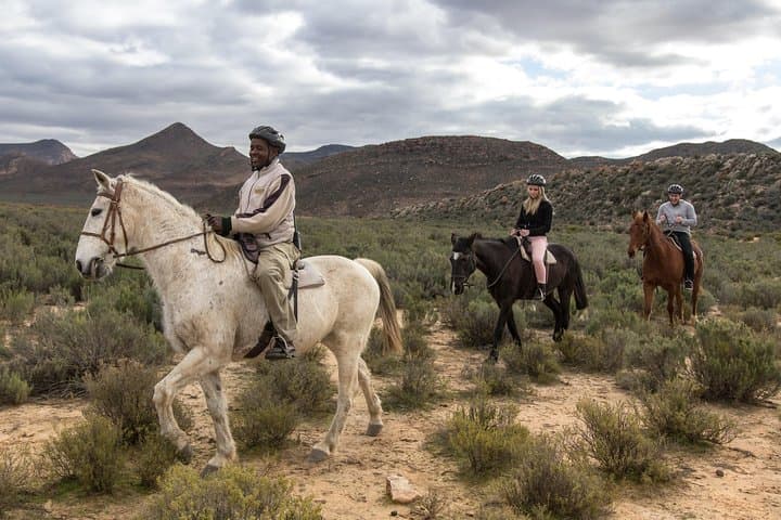 Cape Town Safari Big 5 experience all inclusive