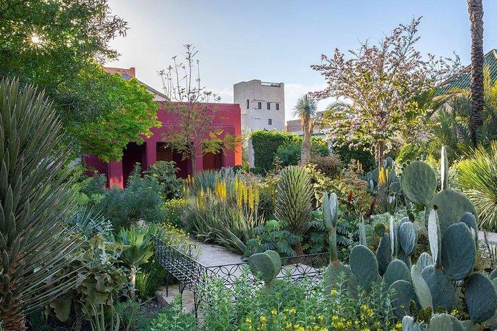 Entdecken Sie Majorelle & Marrakech Gardens Tour