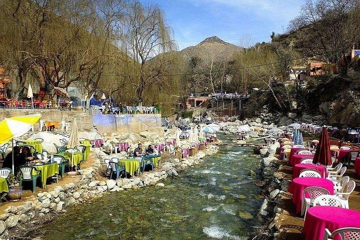 Dagtur til Ourika Valley