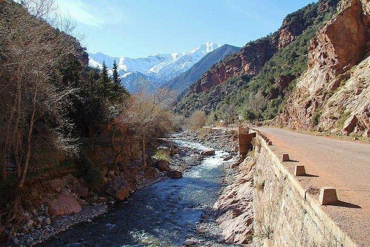 Dagtur til Ourika Valley