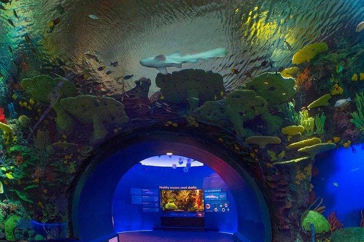 Entrée à l'aquarium de New York