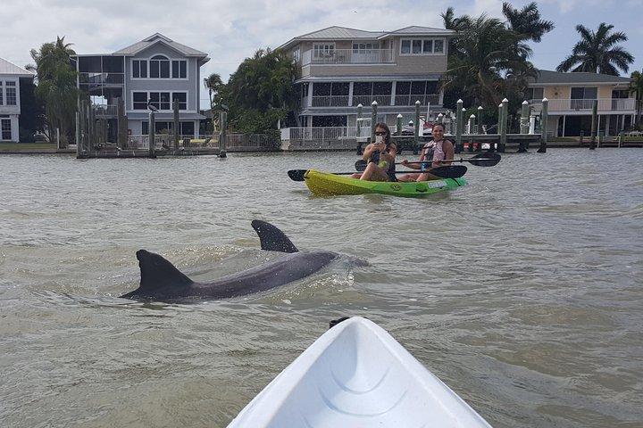 Guided Kayak Eco Tour - Bunche Beach