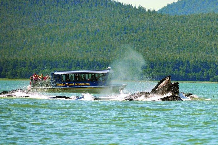 ジュノーのベスト：メンデンホール氷河、ホエールウォッチング、サーモンベイク