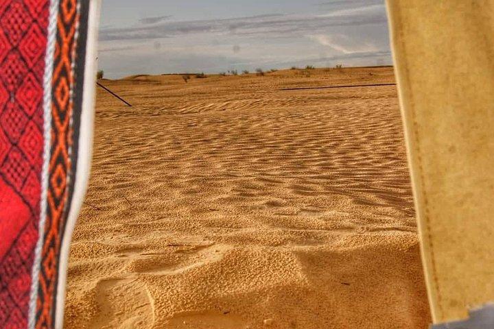 Vanuit Tunis/Hammamet/Sousse: 3-daags woestijnavontuur