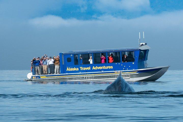 Observation des baleines et cuisson du saumon à Juneau