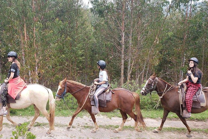 Journée complète d'équitation à Rumiwasi - Cusco