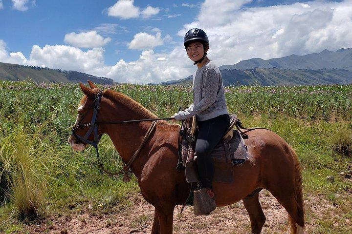 Journée complète d'équitation à Rumiwasi - Cusco