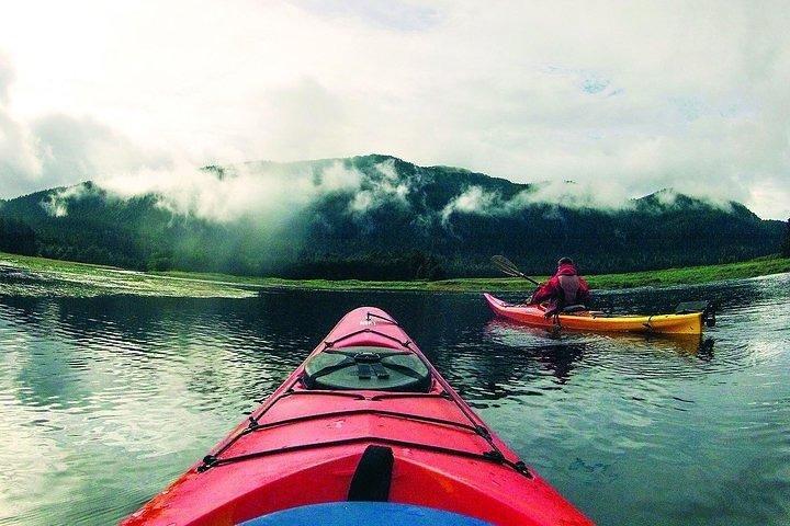 Mendenhall Glacier View Sea Kayaking