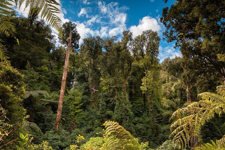 Expérience de 2 jours à Rotorua: grottes de Waitomo, culture maorie et tyrolienne au départ d'Auckland