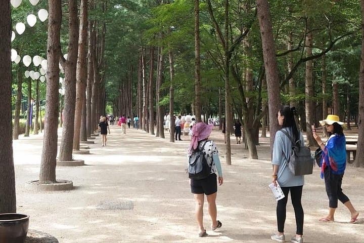 [ Full Day Private Tour ] Nami Island and Petite France