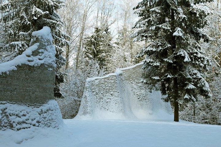 Sla de wachtrij over: Europos Parkas, ticket openluchtmuseum Vilnius, Litouwen