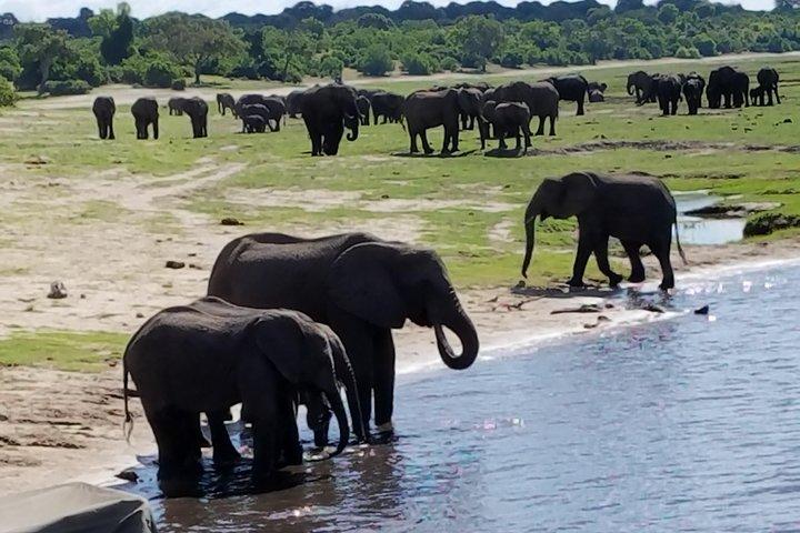5 Tage 4 Nächte Budget Abenteuer Safari in Victoria Falls & Chobe National Park