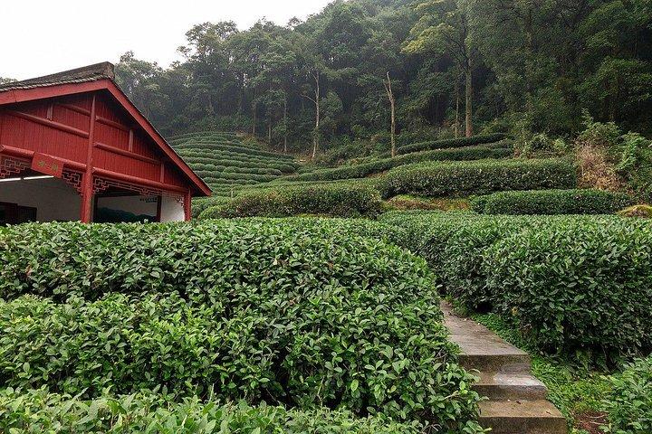 Hangzhou Privat Ankomst Transfer: Lufthavn til Hotel