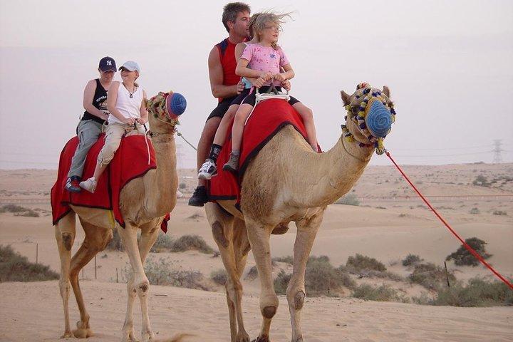 Private Evening Desert Safari only Dune Bashing