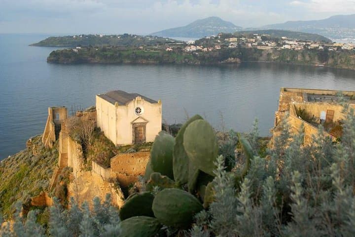 From Naples: Procida Island Day Trip with Lunch