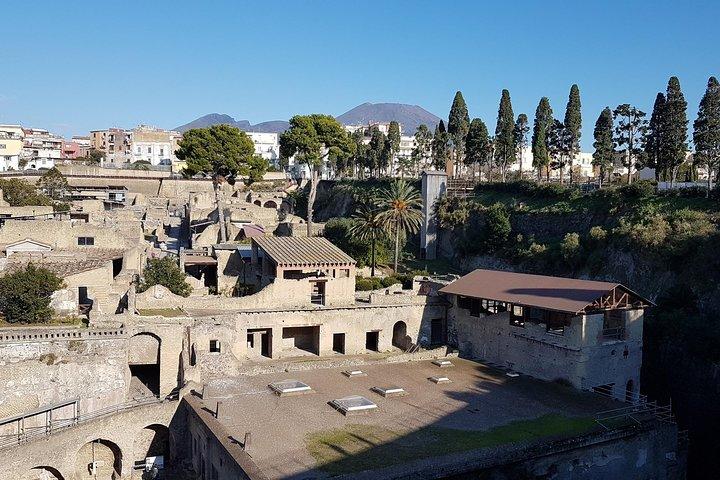 Vesuvius og Herculaneum Dagstur fra Napoli med Skip the Line