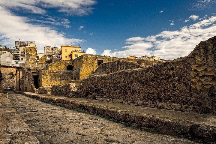Vesuvius og Herculaneum Dagstur fra Napoli med Skip the Line
