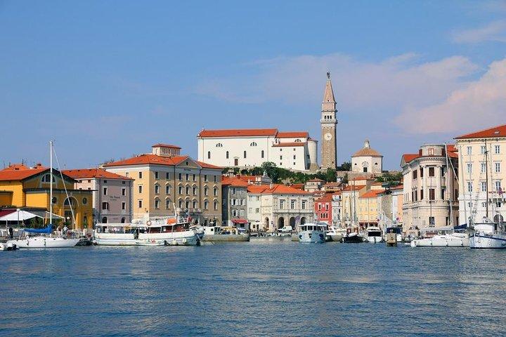 Tour vintage dell'Istria slovena - Tour privato da Lubiana