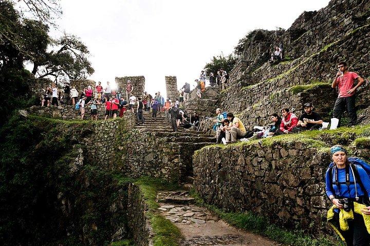 Short Inca Trail till Machu Picchu
