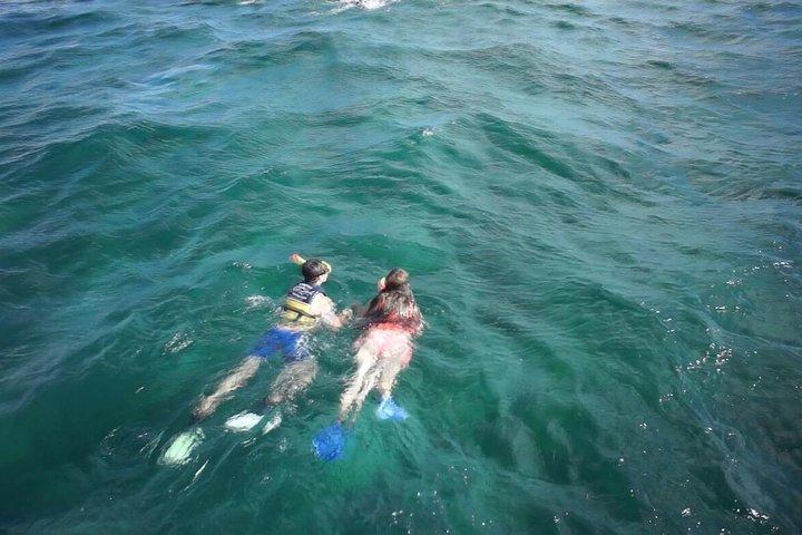 Snorkel com transporte de Cancun