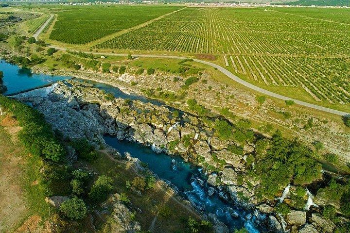Tour de la ruta del vino de Montenegro
