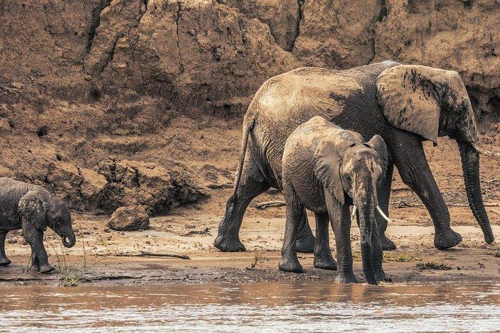3 nights exclusive Masai Mara safari