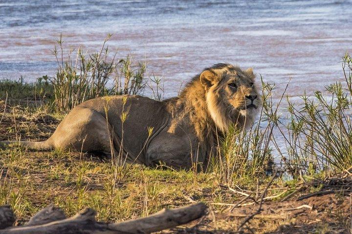 3 nights exclusive Masai Mara safari