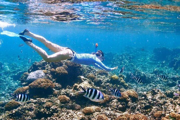 Aventure en famille Punta Cana