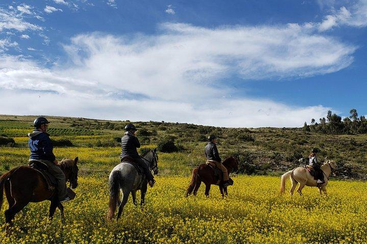 Équitation au Temple de la Lune + Visite Guidée à Sacsayhuaman - Cusco