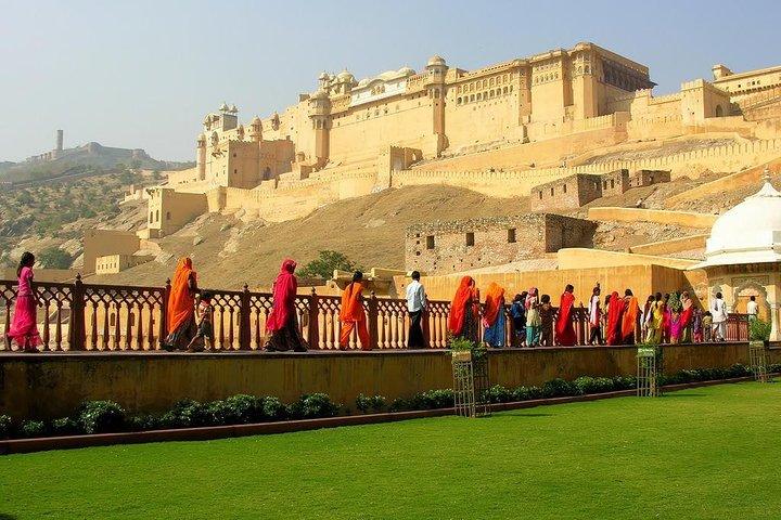 Visite guidée de Jaipur comprenant le fort d'Amber, le palais de la ville et Hawa Mahal