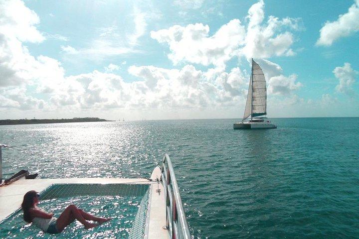 Saona Island Tagesausflug von Punta Cana mit Mittagessen und Open Bar